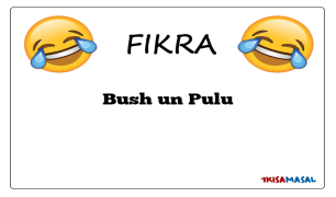 Bush un Pulu Fıkrası
