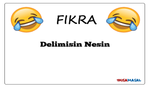 Delimisin Nesin Fıkrası