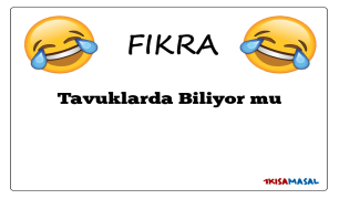 Tavuklarda Biliyor mu Fıkrası